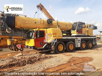 Guindaste Grove GMK4100L