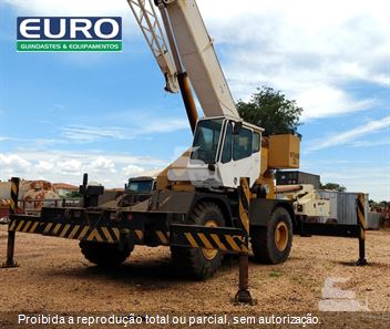 Guindaste Grove RT540E