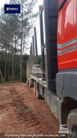 Caminhão Mercedes-Benz Axor 3344 S 6x4 2p (diesel)