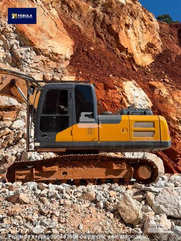Escavadeira XCMG XE225BR