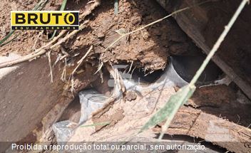 Escavadeira Florestal Caterpillar 320D FM (florestal)