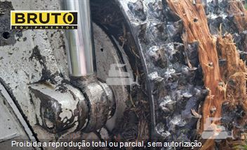 Escavadeira Florestal Caterpillar 320D FM (florestal)