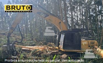 Escavadeira Florestal Caterpillar 320D FM (florestal)