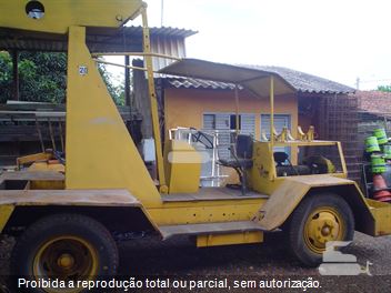 Guincho Caldema Canarinho